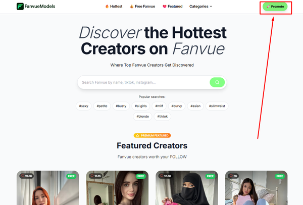 fanvuemodels application tutorial